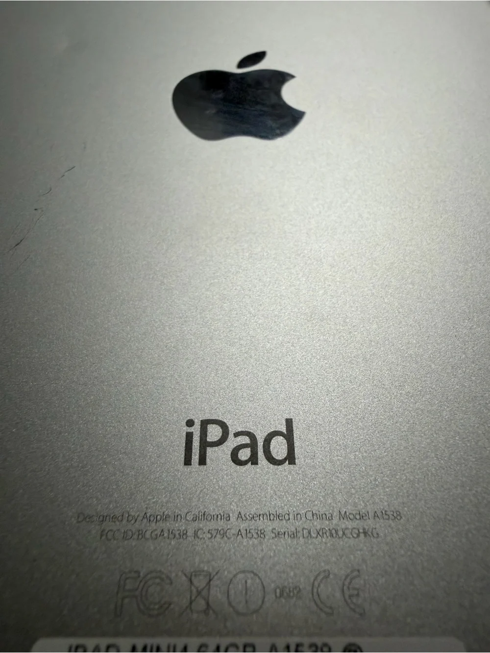 Apple iPad Silver Back Cover - Brushed Silver Finish